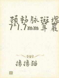颈动脉斑块5.7*1.7mm算严重