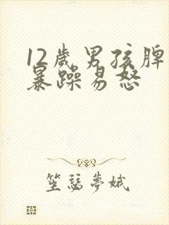 12岁男孩脾气暴躁易怒