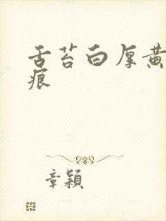 舌苔白厚黄有齿痕