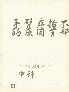 手臂疼抬不起来的原因有哪些