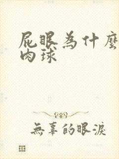 屁眼为什么会有肉球