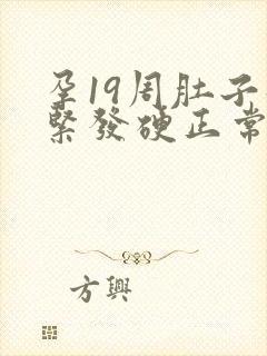 孕19周肚子发紧发硬正常吗