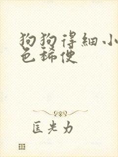 狗狗得细小拉黑色稀便