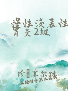 慢性浅表性胃窦胃炎2级