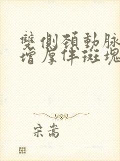 双侧颈动脉内膜增厚伴斑块(多发)