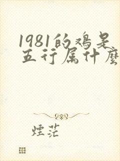 1981的鸡是五行属什么命运的