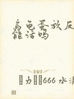 乌龟蛋放反了还能活吗