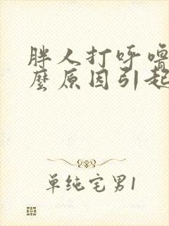 胖人打呼噜是什么原因引起的