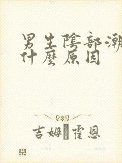 男生阴部潮湿是什么原因