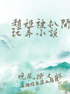 赵姬被扒开双腿玩弄小说