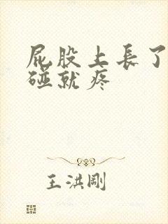 屁股上长了包一碰就疼