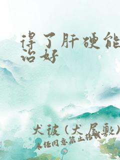 得了肝硬能不能治好