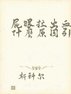 屁眼拉出血了是什么原因引起的