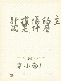 肝损伤的主要原因是什么