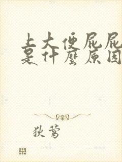 上大便屁屁流血是什么原因