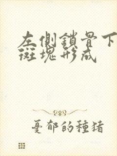 左侧锁骨下动脉斑块形成