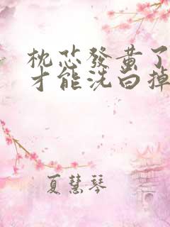 枕芯发黄了怎样才能洗白掉