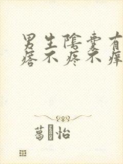 男生阴囊有小疙瘩不疼不痒