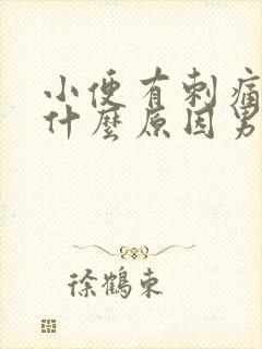 小便有刺痛感是什么原因男