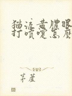 猫流黄脓眼屎还打喷嚏怎么治疗