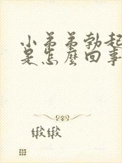 小弟弟勃起不坚是怎么回事