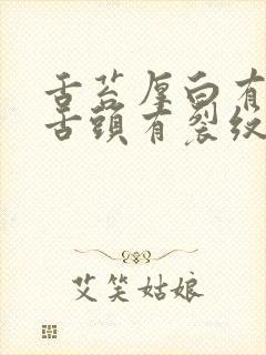 舌苔厚白有齿痕舌头有裂纹