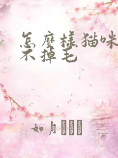 怎么样猫咪才能不掉毛