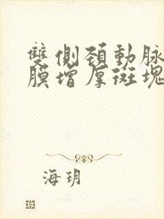 双侧颈动脉内中膜增厚斑块形成