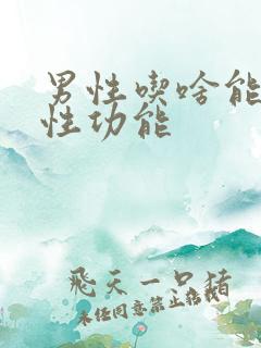 男性吃啥能提高性功能