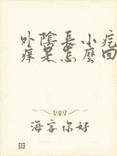 外阴长小疙瘩瘙痒是怎么回事