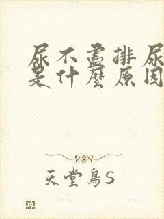 尿不尽排尿困难是什么原因