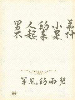 男人的小弟弟硬不起来是什么原因