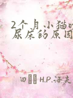 2个月小猫晚上尿床的原因