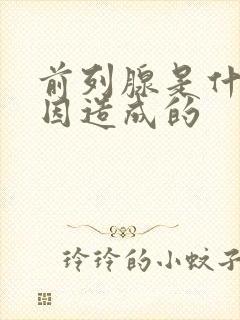 前列腺是什么原因造成的