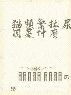 猫频繁拉尿的原因是什么