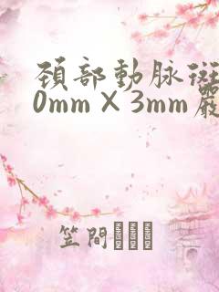 颈部动脉斑块20mm×3mm严重么