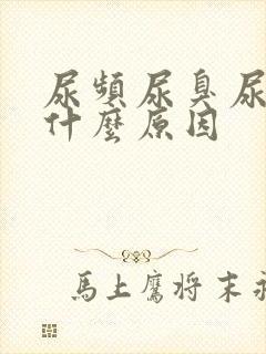 尿频尿臭尿黄是什么原因