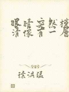 眼睛突然模糊不清像有一层雾怎么办