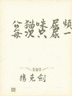 公猫咪尿频而且每次只尿一点