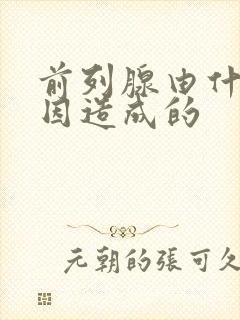 前列腺由什么原因造成的