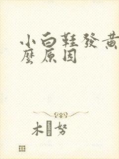 小白鞋发黄是什么原因