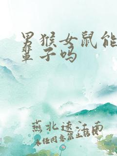 男猴女鼠能过一辈子吗