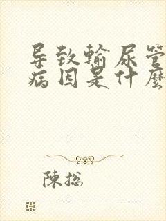 导致输尿管结石病因是什么