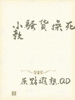 小骚货操死你调教