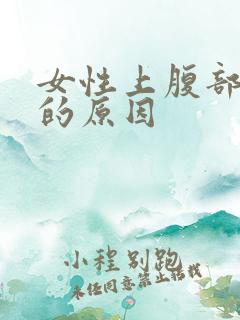 女性上腹部肥胖的原因