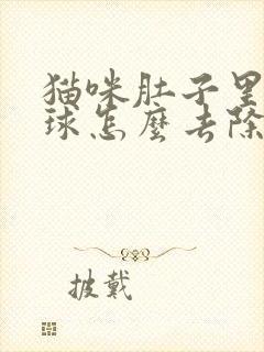 猫咪肚子里有毛球怎么去除