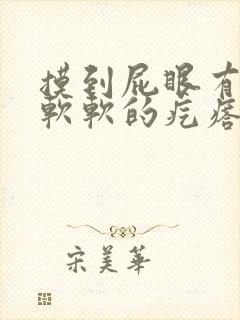 摸到屁眼有一个软软的疙瘩