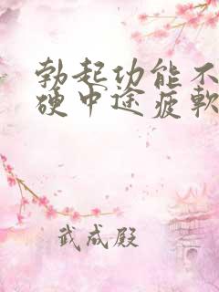 勃起功能不坚不硬中途疲软