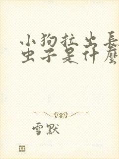 小狗拉出长长的虫子是什么?