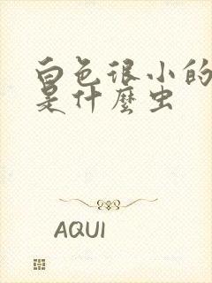 白色很小的虫子是什么虫